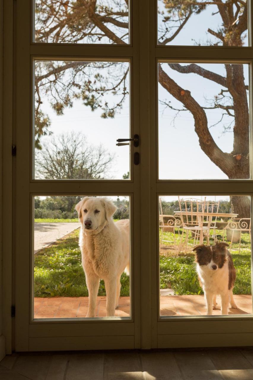 Residence La Beccanina Scarlino Εξωτερικό φωτογραφία